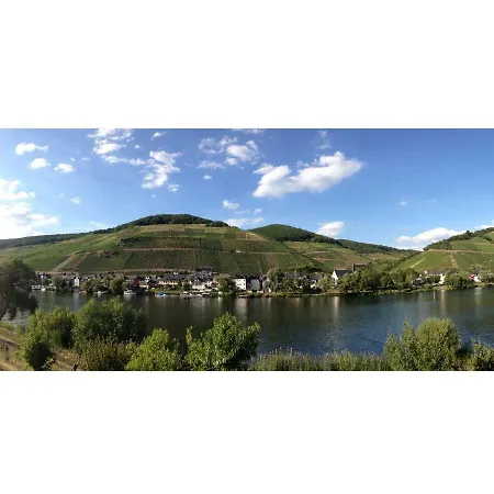 Moselufer Lägenhet Zell an der Mosel